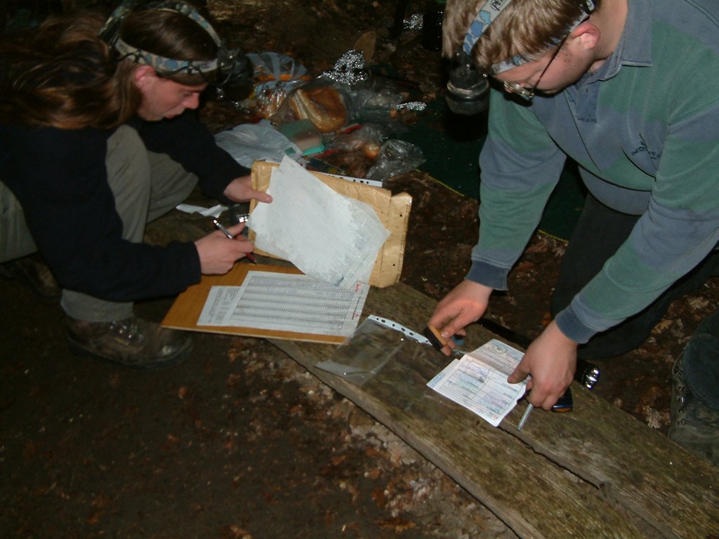 DSCF0230.JPG