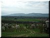 DSCF0110.JPG