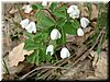 DSCF0116.JPG