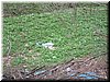 DSCF0123.JPG