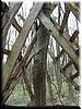 DSCF0128.JPG