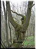 DSCF0133.JPG