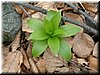 DSCF0136.JPG