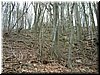 DSCF0138.JPG