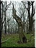 DSCF0144.JPG