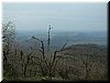 DSCF0148.JPG