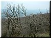 DSCF0150.JPG