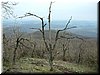 DSCF0151.JPG