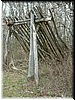 DSCF0153.JPG