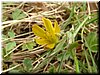 DSCF0156.JPG