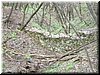 DSCF0161.JPG