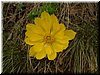 DSCF0169.JPG