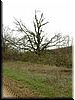 DSCF0170.JPG