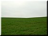 DSCF0172.JPG