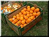 DSCF0178.JPG