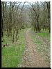 DSCF0183.JPG