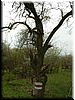DSCF0186.JPG