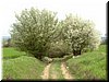 DSCF0187.JPG