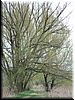 DSCF0198.JPG