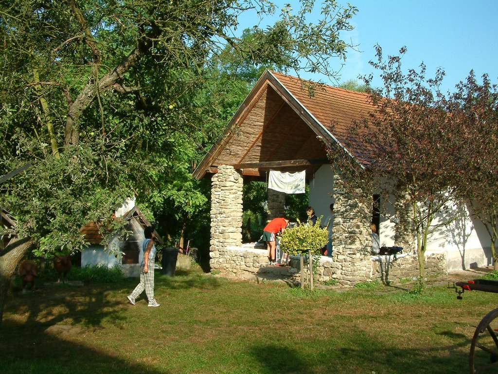 DSCF0047.JPG
