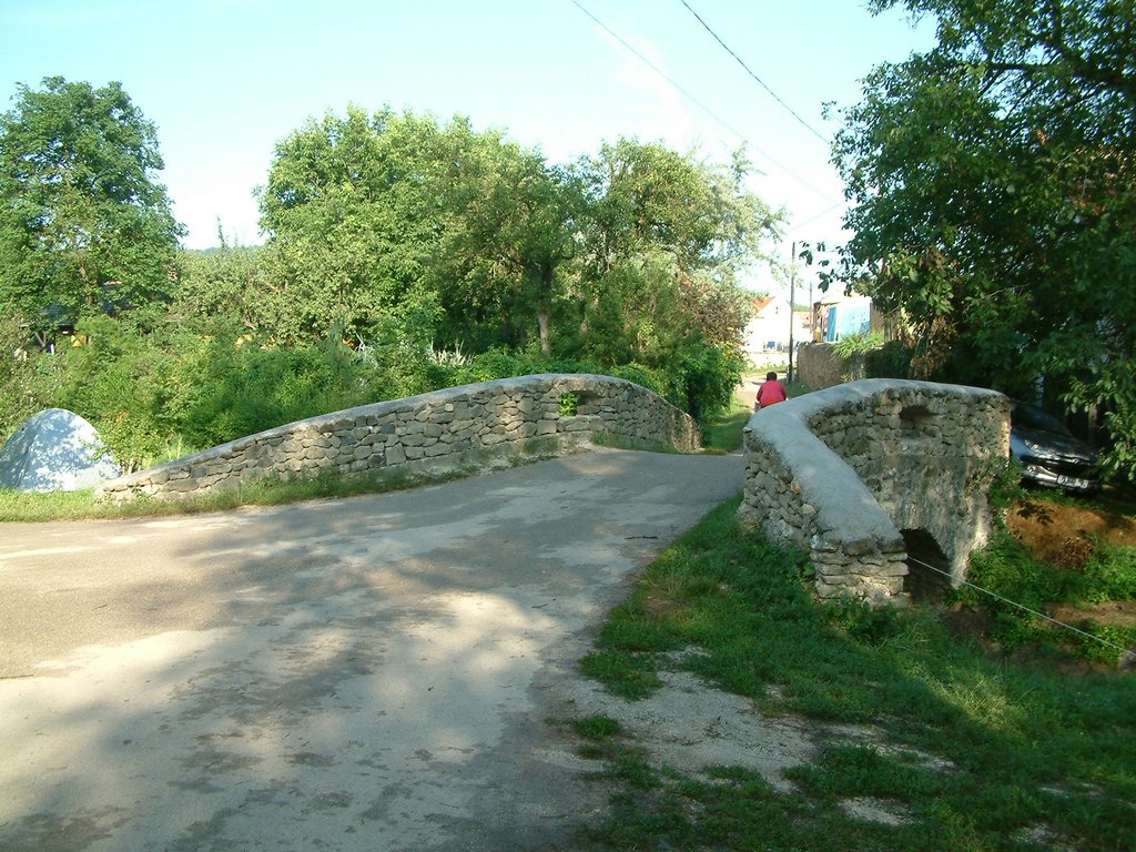 DSCF0051.JPG