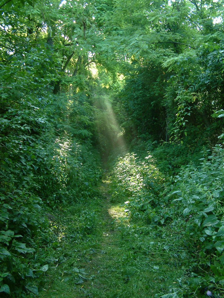 DSCF0054.JPG