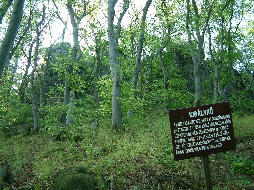 DSCF0055.JPG