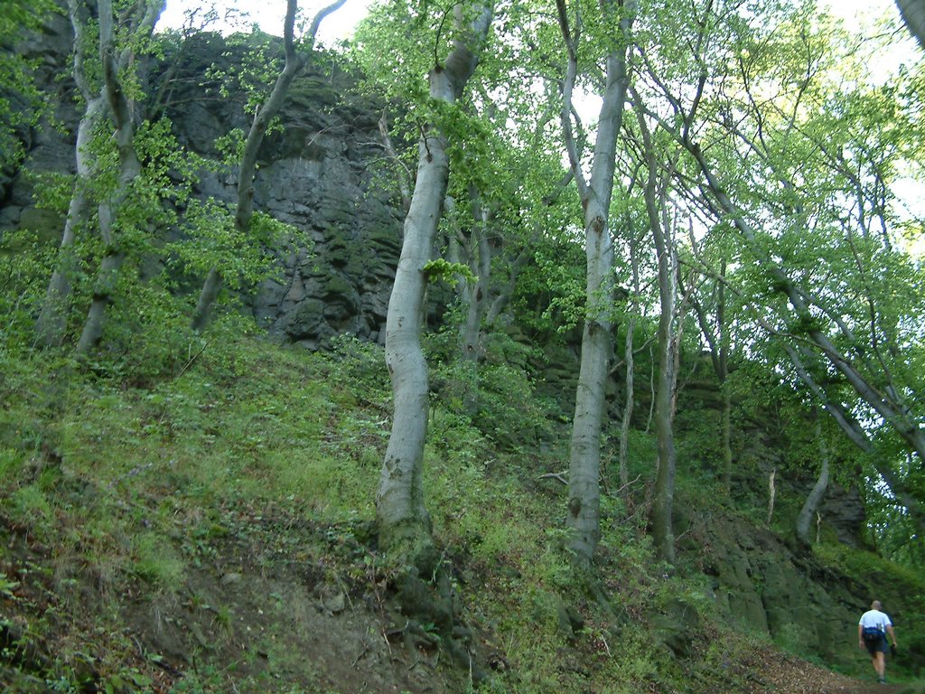 DSCF0057.JPG