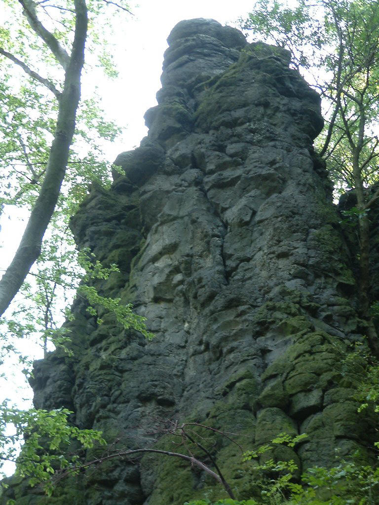 DSCF0058.JPG