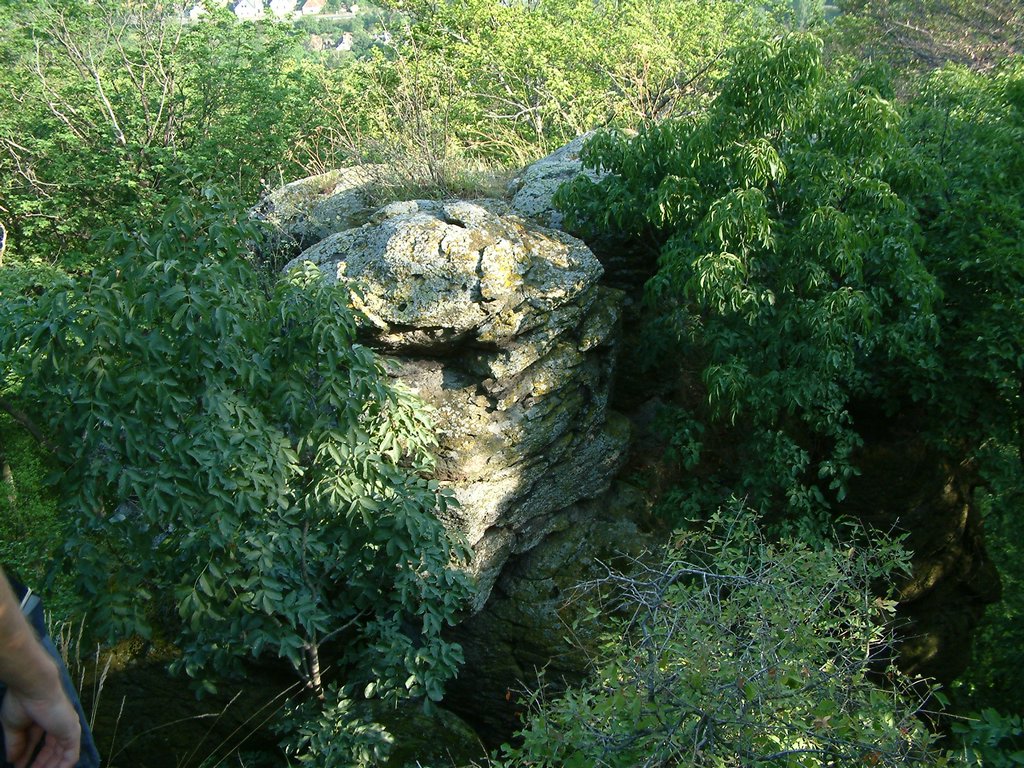 DSCF0062.JPG