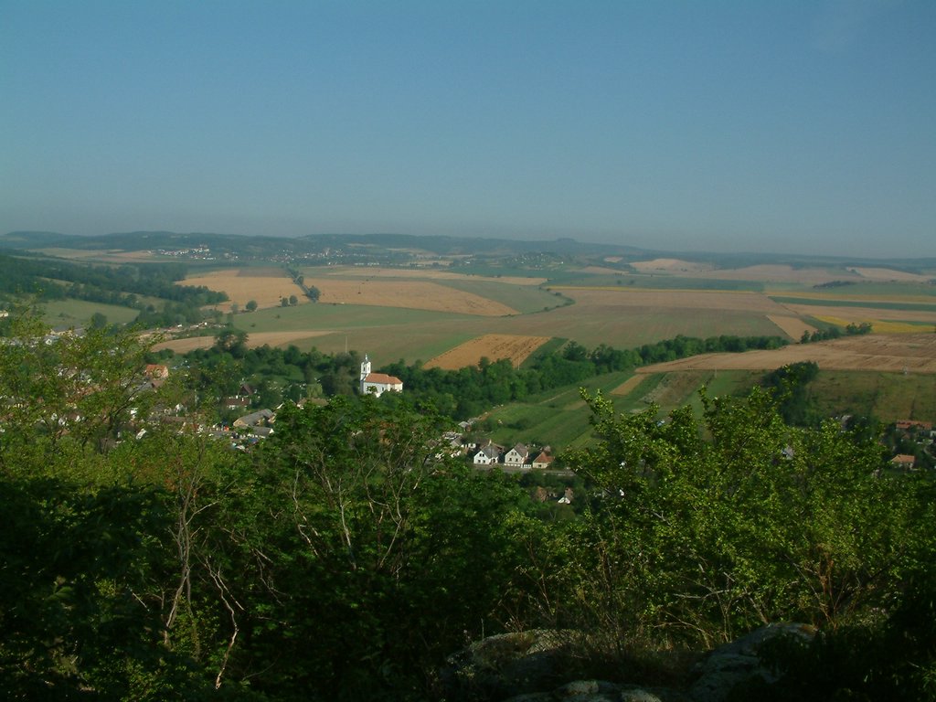 DSCF0063.JPG