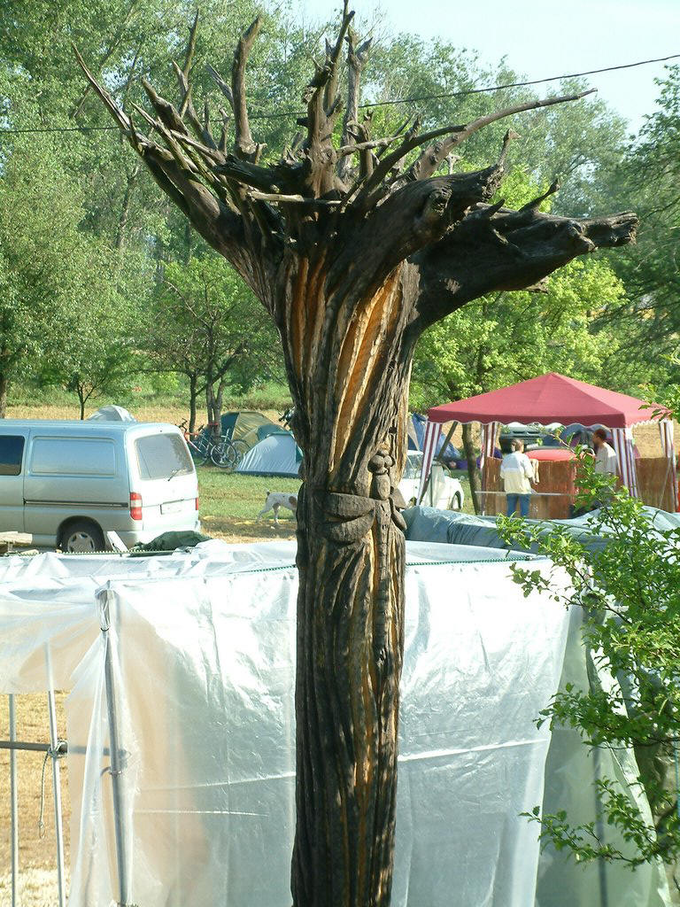 DSCF0067.JPG