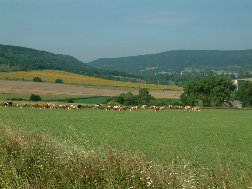 DSCF0068.JPG