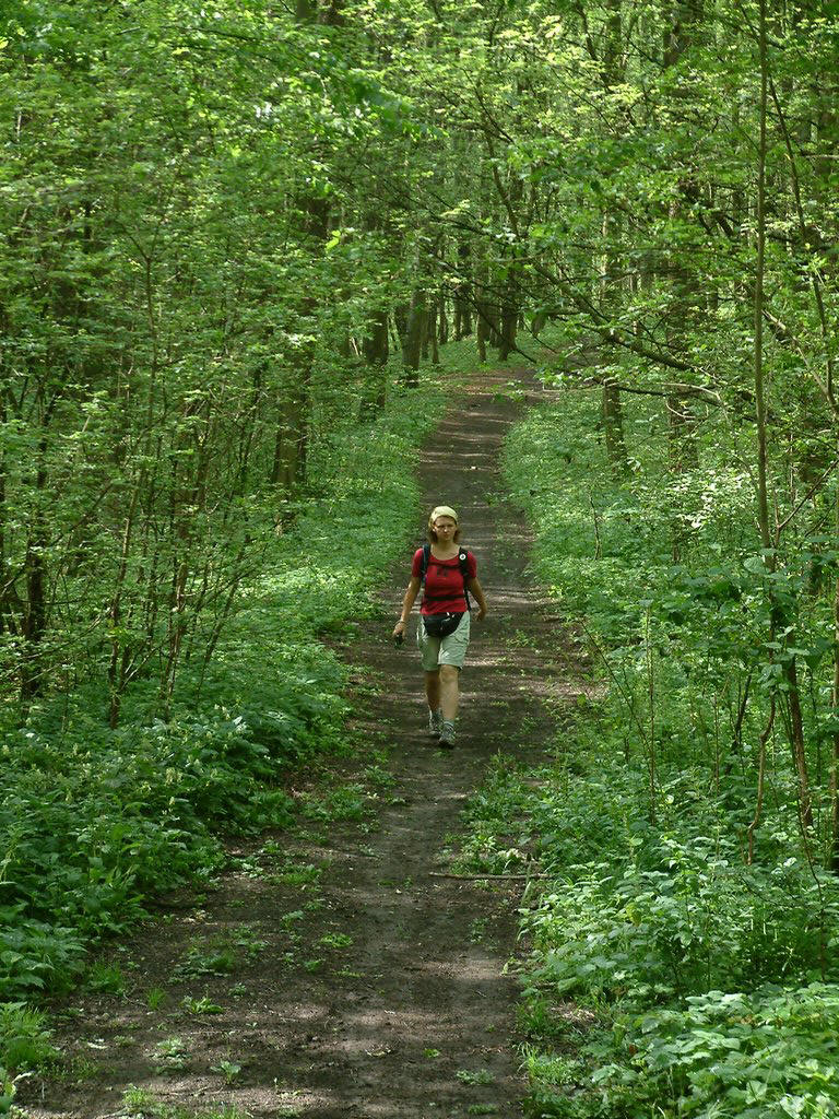 DSCF0072.JPG