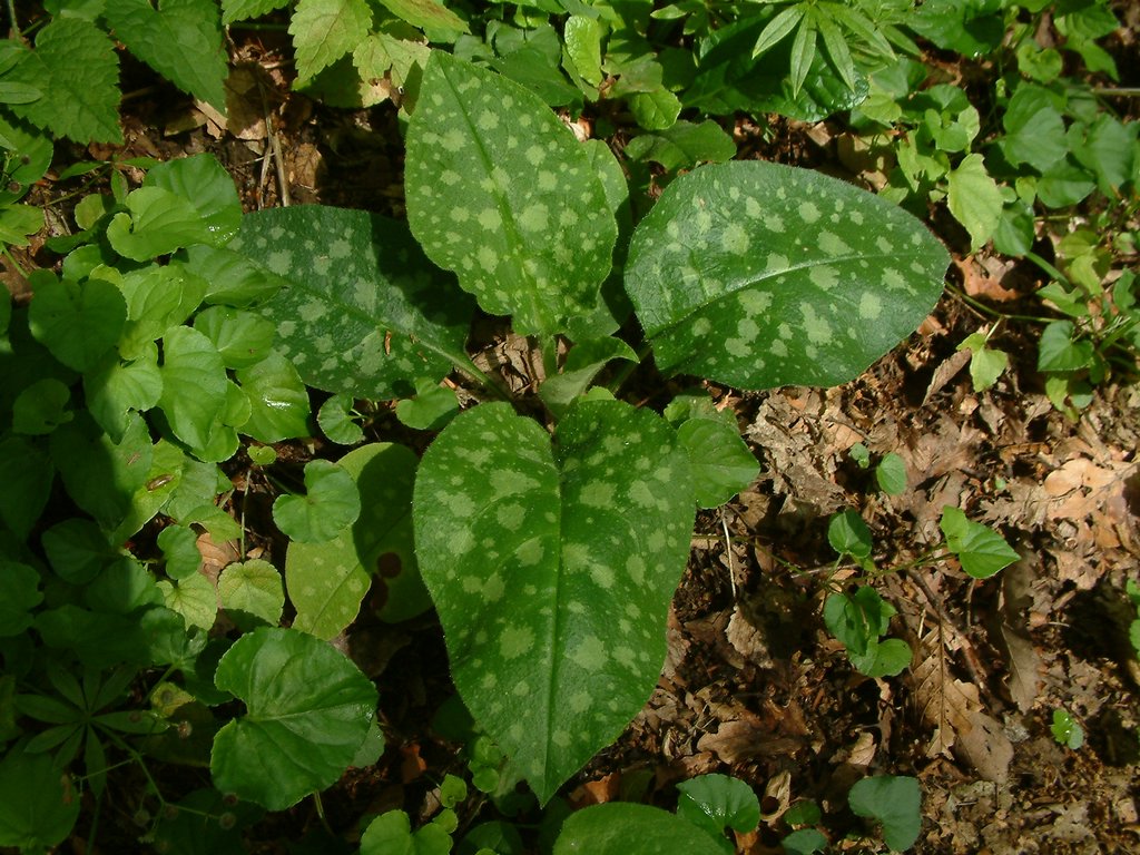 DSCF0073.JPG