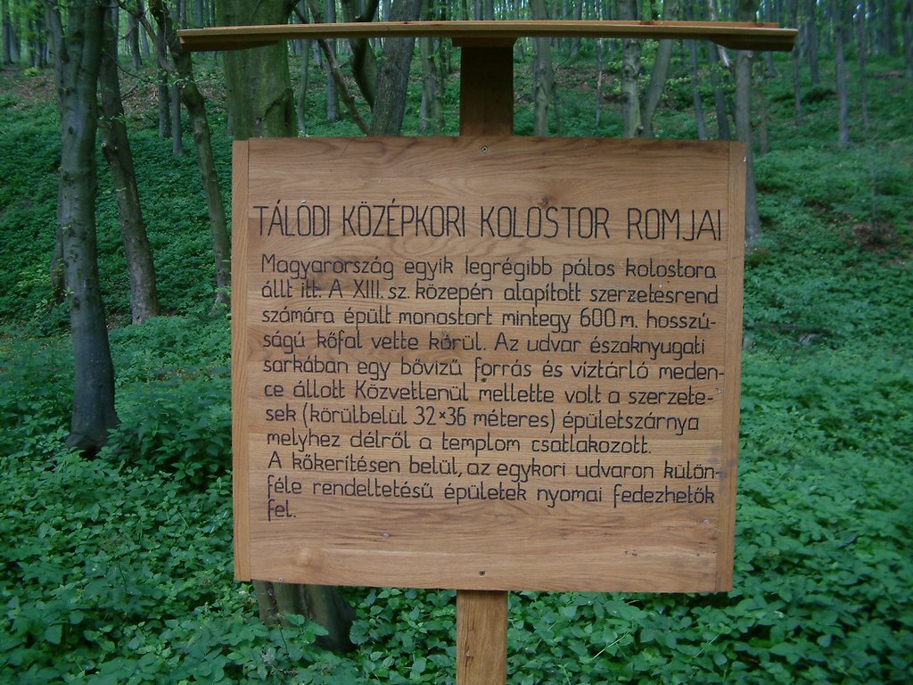 DSCF0074.JPG