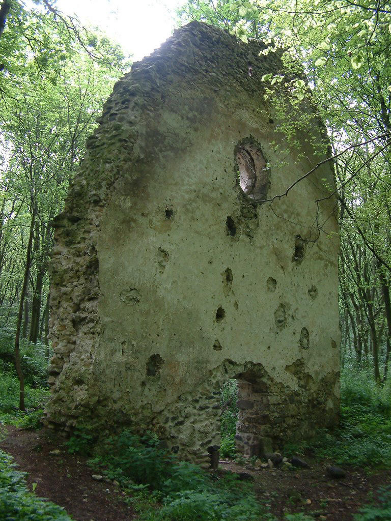 DSCF0075.JPG