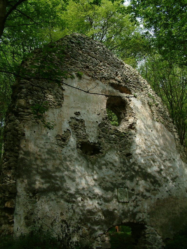 DSCF0080.JPG