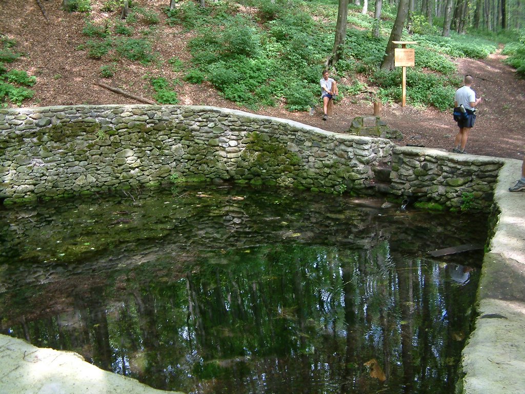 DSCF0081.JPG