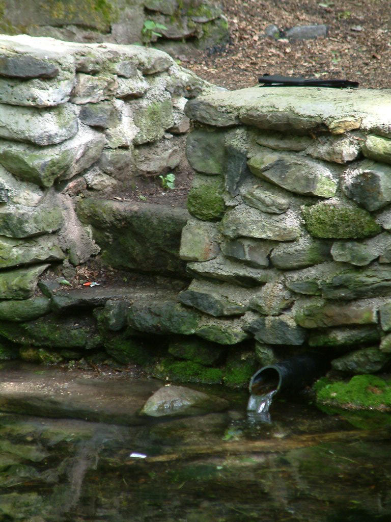 DSCF0082.JPG