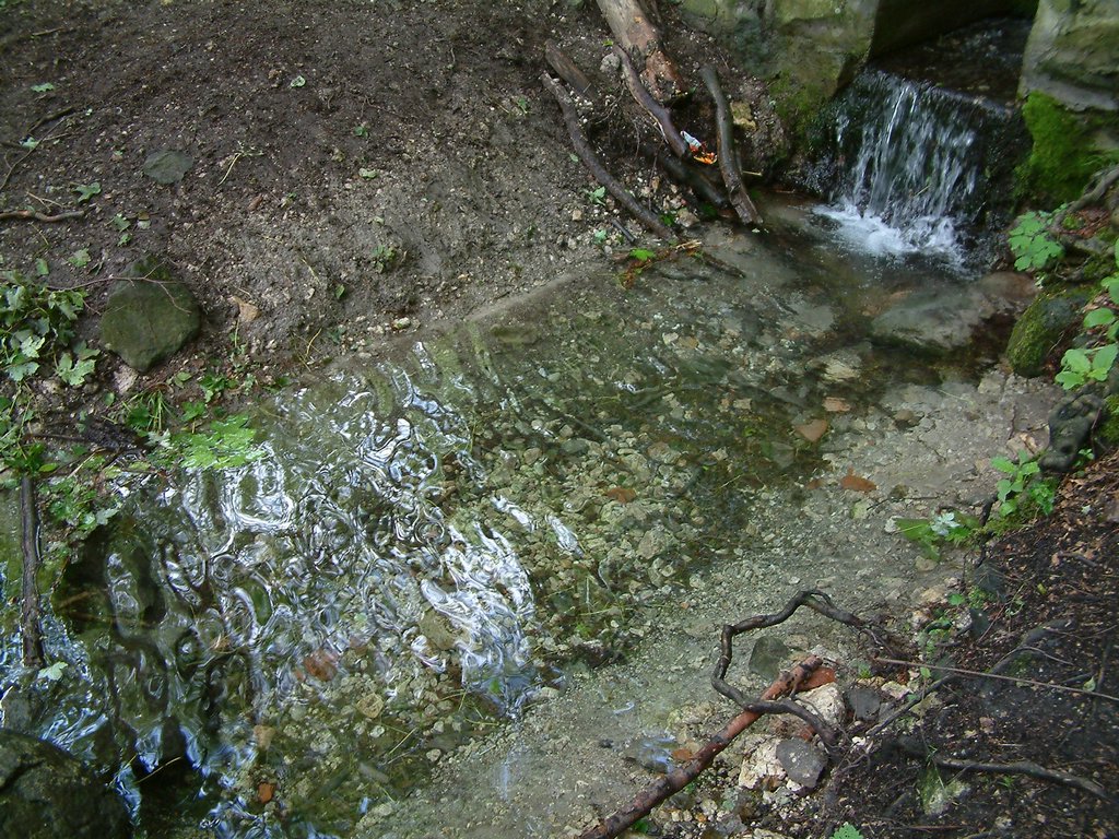 DSCF0084.JPG