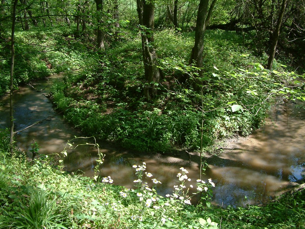 DSCF0088.JPG