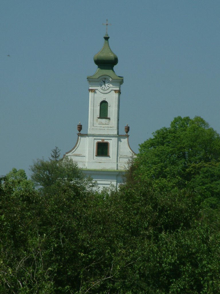 DSCF0094.JPG