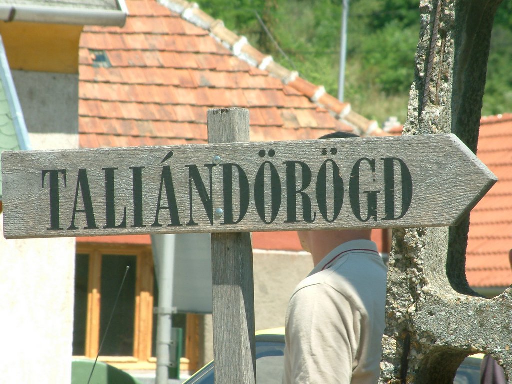 DSCF0096.JPG