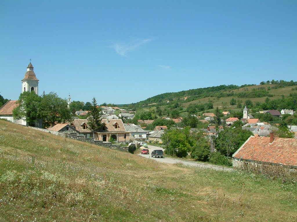 DSCF0098.JPG