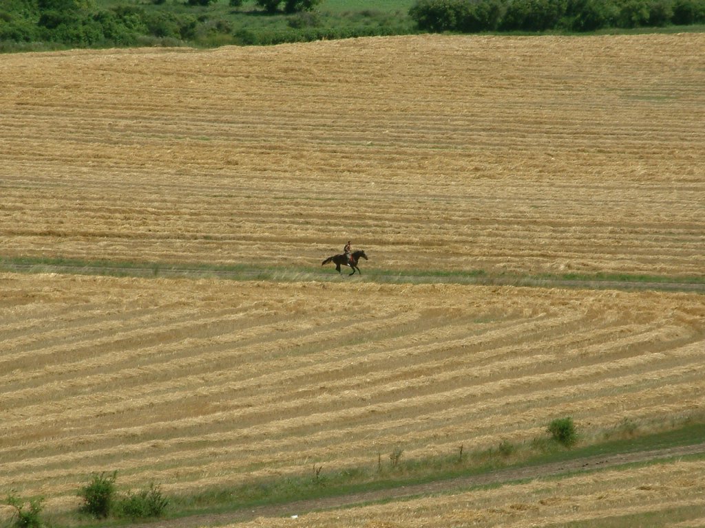 DSCF0100.JPG