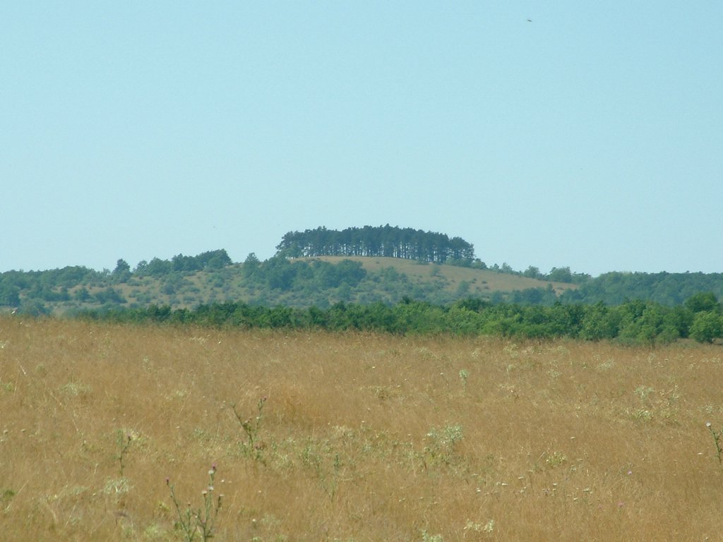 DSCF0102.JPG