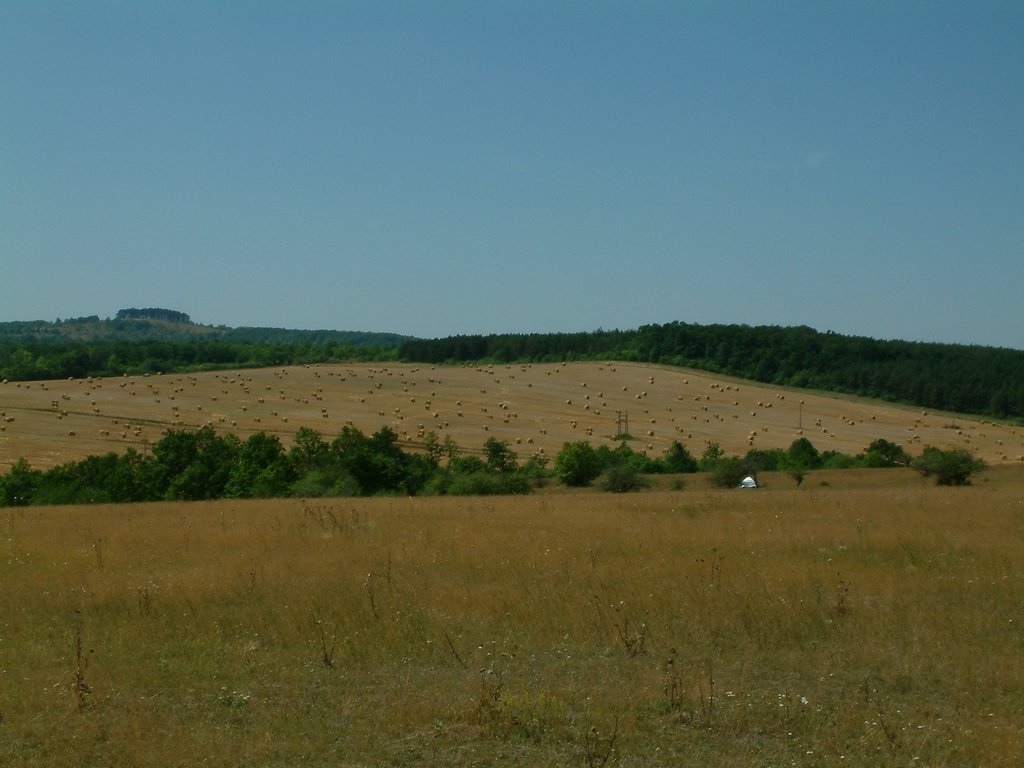 DSCF0104.JPG