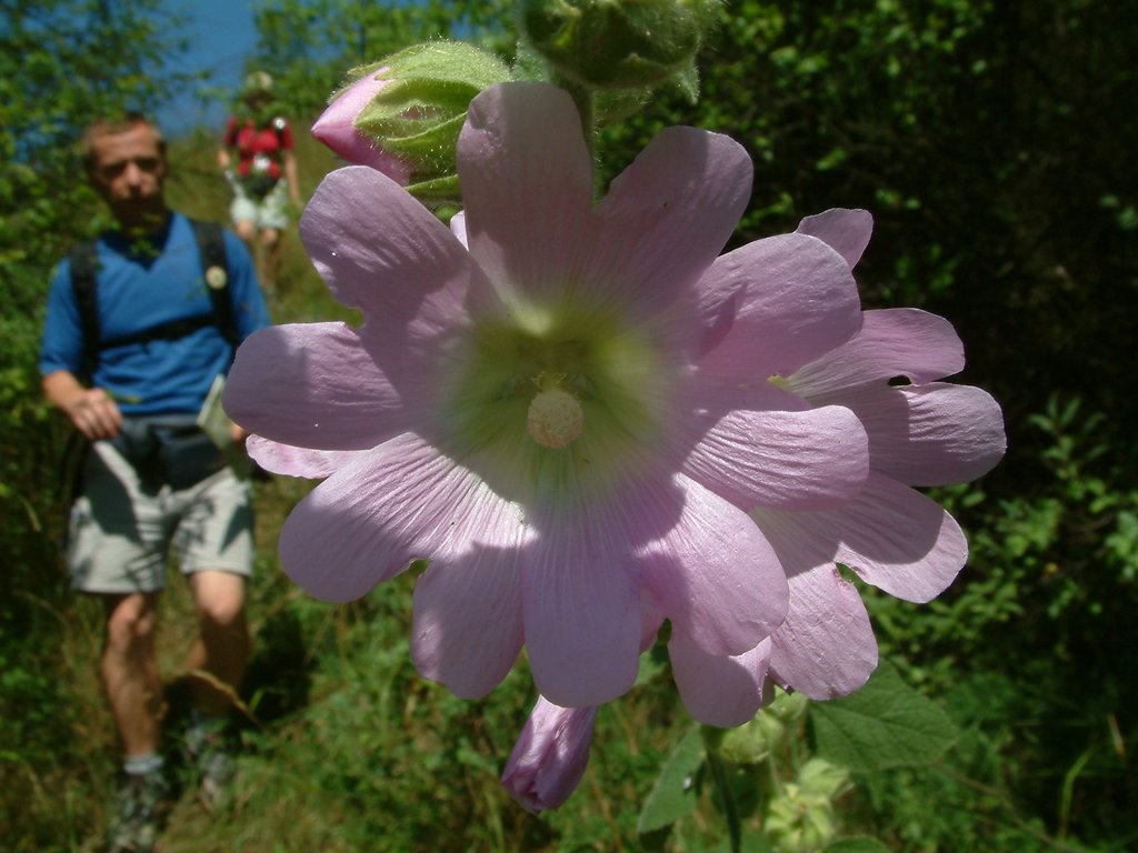 DSCF0105.JPG