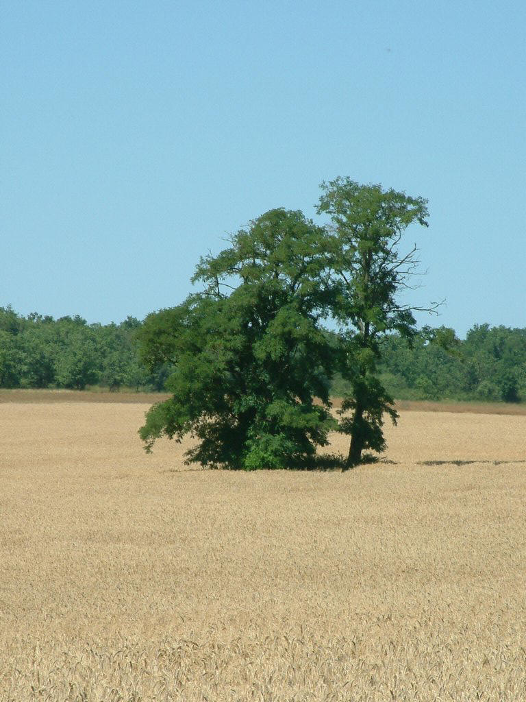 DSCF0108.JPG